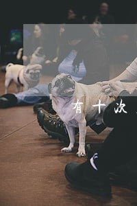 有十次左右逾期影响买房吗