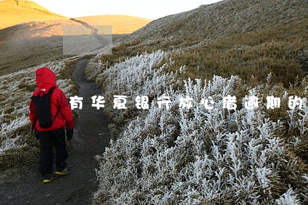 有华夏银行放心借逾期的吗 有华夏银行放心借逾期的吗