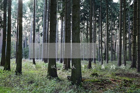 有协议可以单方离婚吗 有协议可以单方离婚吗
