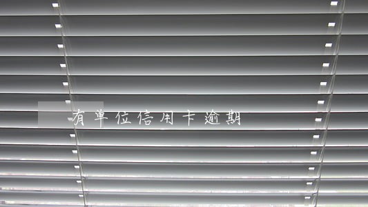 有单位信用卡逾期