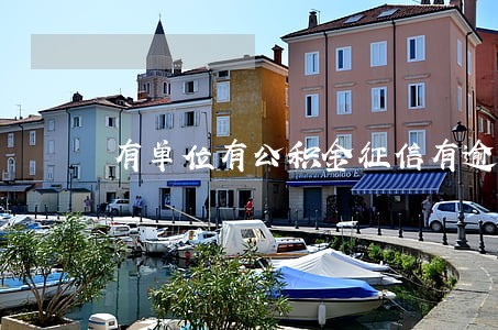 有单位有公积金征信有逾期 有单位有公积金征信有逾期