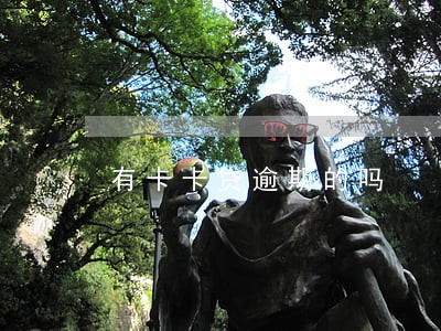 有卡卡贷逾期的吗 有卡卡贷逾期的吗