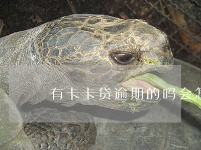 有卡卡贷逾期的吗会怎么办 有卡卡贷逾期的吗会怎么办