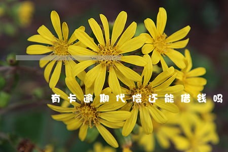 有卡逾期代偿还能借钱吗 有卡逾期代偿还能借钱吗