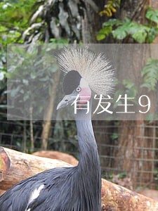 有发生90天以上逾期的信用卡