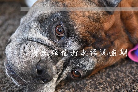 有发短信打电话说逾期 有发短信打电话说逾期