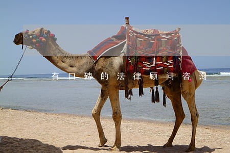 有口碑的法律顾问咨询 有口碑的法律顾问咨询