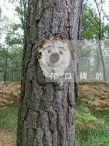 有口碑的法律顾问排名 有口碑的法律顾问排名