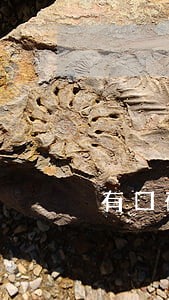 有口碑的法律顾问电话 有口碑的法律顾问电话