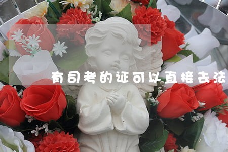 有司考的证可以直接去法院么 有司考的证可以直接去法院么