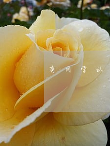 有同学认为自己一不违法 有同学认为自己一不违法