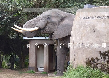 有名企业合同纠纷律师免费咨询 有名企业合同纠纷律师免费咨询