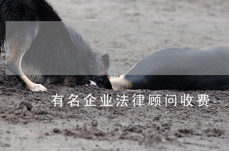 有名企业法律顾问收费 有名企业法律顾问收费