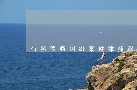 有名债务纠纷案件律师咨询 有名债务纠纷案件律师咨询