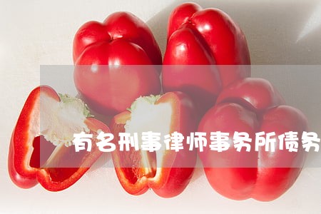 有名刑事律师事务所债务律师