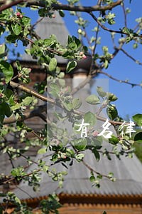 有名律师事务所电话咨询 有名律师事务所电话咨询