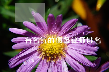 有名气的债务律师排名 有名气的债务律师排名