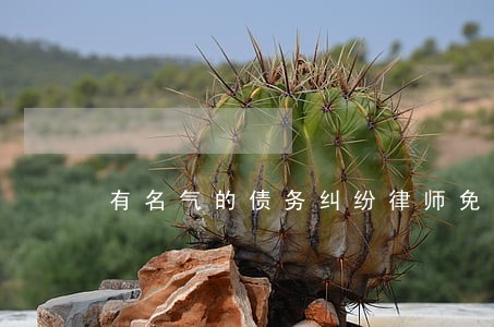 有名气的债务纠纷律师免费咨询 有名气的债务纠纷律师免费咨询