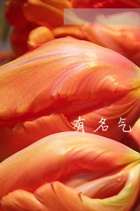 有名气的南京债务律师排名 有名气的南京债务律师排名