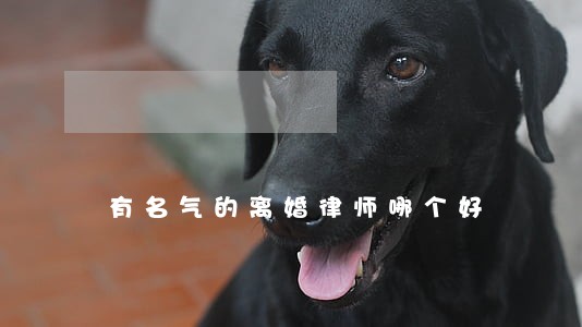 有名气的离婚律师哪个好 有名气的离婚律师哪个好