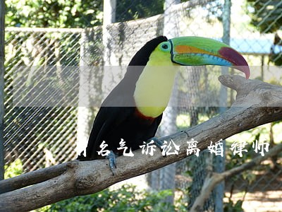 有名气诉讼离婚律师 有名气诉讼离婚律师