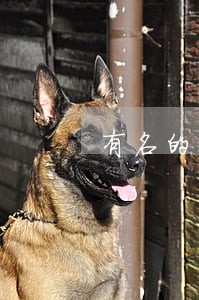 有名的交通律师找谁 有名的交通律师找谁