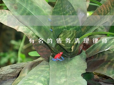 有名的债务清理律师