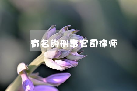 有名的刑事官司律师 有名的刑事官司律师