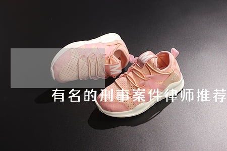 有名的刑事案件律师推荐 有名的刑事案件律师推荐