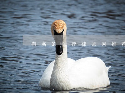 有名的医疗律师网推荐 有名的医疗律师网推荐