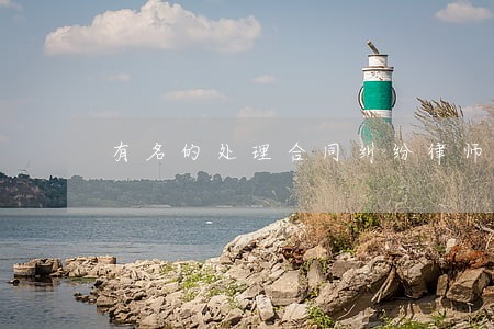 有名的处理合同纠纷律师价格
