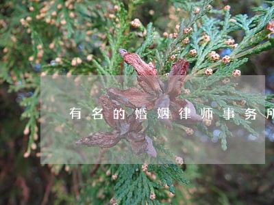 有名的婚姻律师事务所 有名的婚姻律师事务所