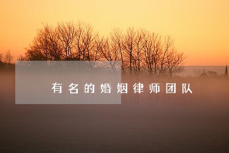 有名的婚姻律师团队 有名的婚姻律师团队