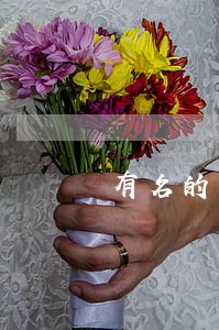 有名的定金合同纠纷律师 有名的定金合同纠纷律师
