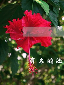有名的法律咨询怎么收费 有名的法律咨询怎么收费