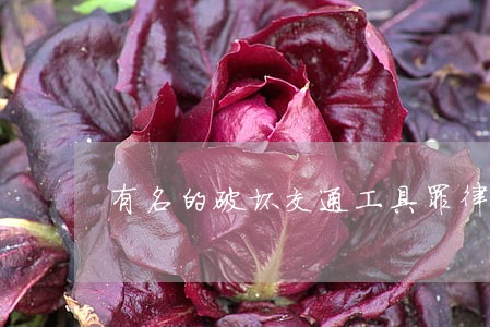 有名的破坏交通工具罪律师推荐 有名的破坏交通工具罪律师推荐