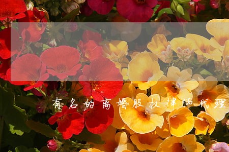 有名的离婚股权律师代理费 有名的离婚股权律师代理费