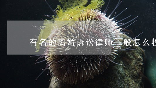 有名的离婚诉讼律师一般怎么收费 有名的离婚诉讼律师一般怎么收费