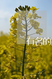 有名的跨国婚姻律师 有名的跨国婚姻律师
