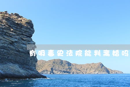 有吸毒史法院能判离婚吗