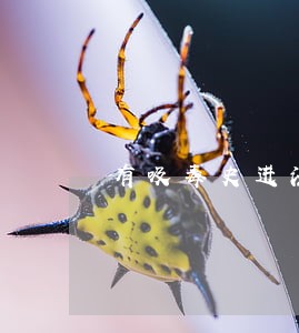 有吸毒史进法院需要尿检吗 有吸毒史进法院需要尿检吗
