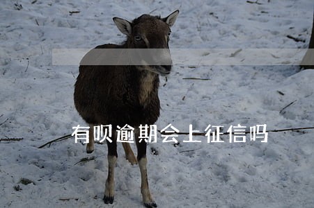有呗逾期会上征信吗 有呗逾期会上征信吗
