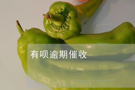 有呗逾期催收 有呗逾期催收