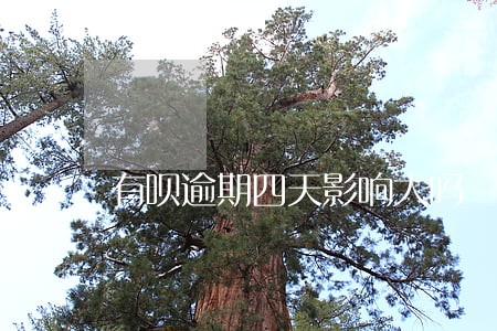 有呗逾期四天影响大吗 有呗逾期四天影响大吗