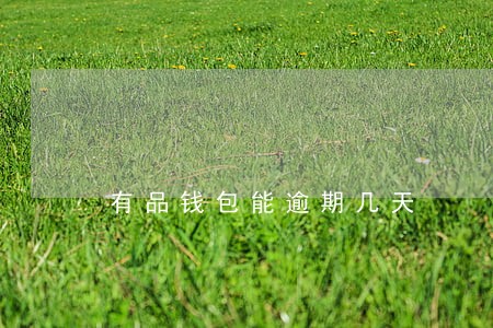 有品钱包能逾期几天 有品钱包能逾期几天