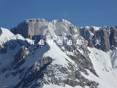 有品钱包逾期2天