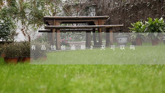 有品钱包逾期2天可以吗 有品钱包逾期2天可以吗