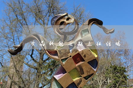 有品钱包逾期上征信吗 有品钱包逾期上征信吗