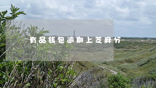 有品钱包逾期上芝麻分 有品钱包逾期上芝麻分