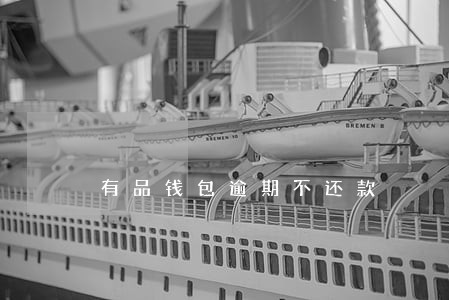 有品钱包逾期不还款 有品钱包逾期不还款